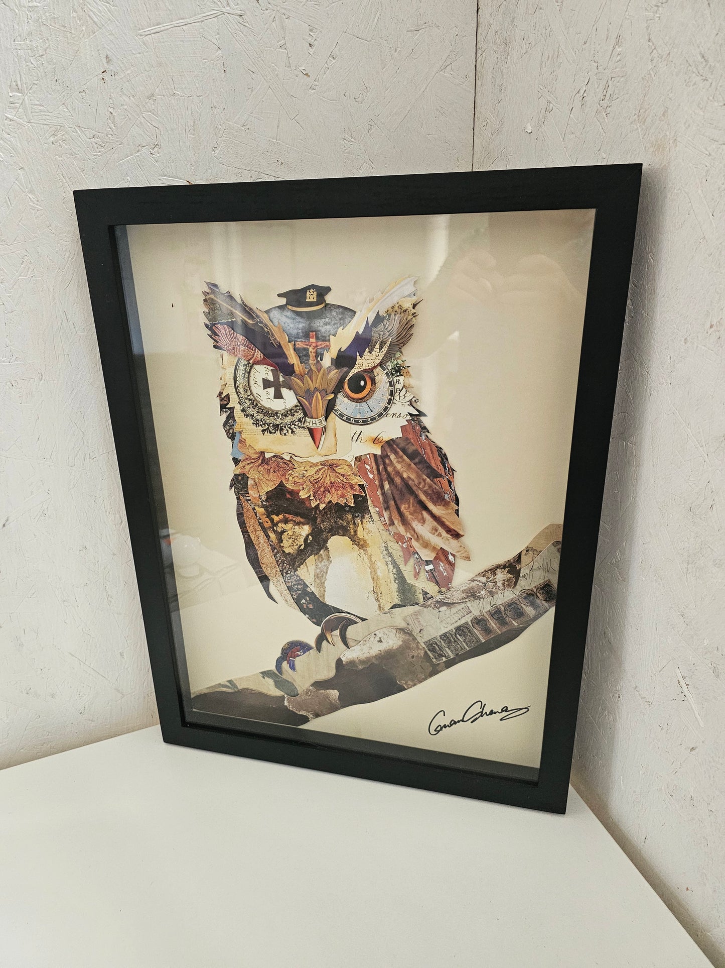 The Wisest Owl Collage