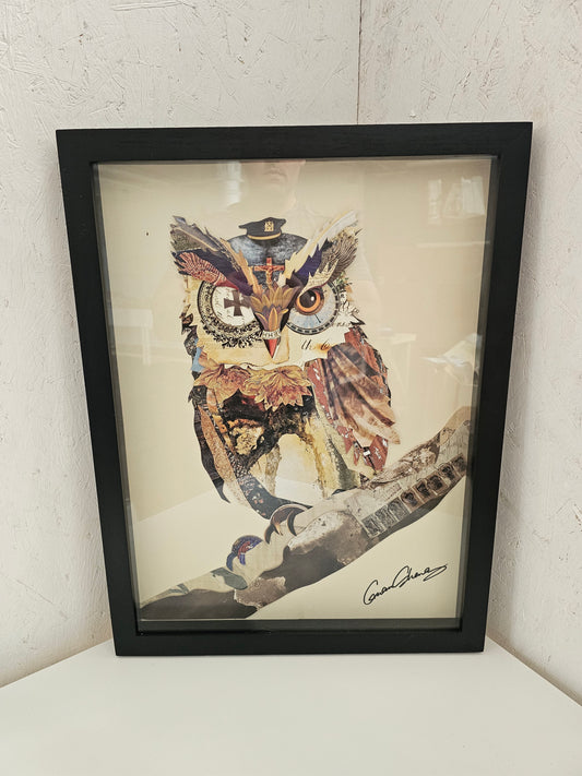 The Wisest Owl Collage